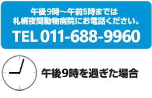 午後10時～午前5時までは札幌夜間動物病院にお電話ください。TEL011-688-9960